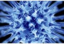 Вызывающий простуду вирус рассекречен