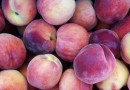 Экстракт персика тормозит развитие метастазов при раке груди