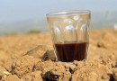 Действительно ли чай и кофе обезвоживают организм?